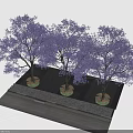 Three Purple Flowering Trees Planted On Stone Paved Platform With Dense Canopies