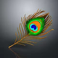 Peacock Feather With Vibrant Green Blue Orange Eye Pattern And Golden Quills