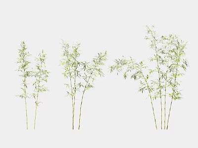 Vibrant Green Bamboo Plants With Lush Leaves And Slender Stems For Home And Garden Decor 3d model