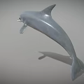 Detailed Realistic 3D Dolphin Model With Silver Gray Body Leaping Pose 3d model