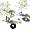 Puzzle Shaped Landscape Seats With Trees And Green Grass Patches In Outdoor Garden
