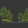 Cartoon Scene with Green Trees Grassy Area Black Path Stones and Yellow Flowers