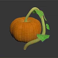 Fresh Orange Pumpkin with Green Vine and Leaves on Dark Background