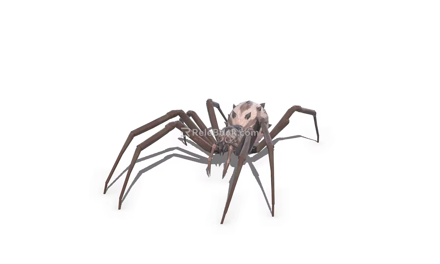 spider insect 3d model