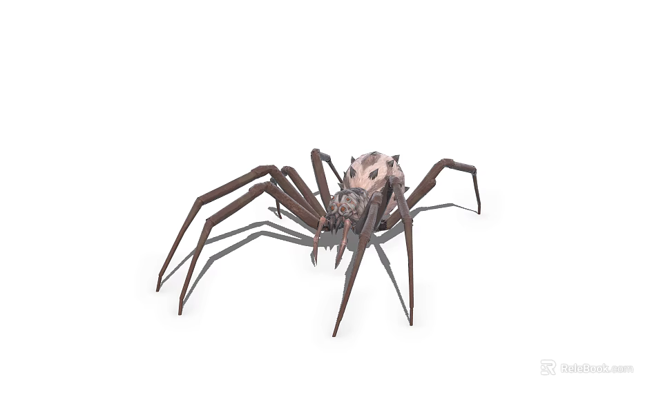 Brown And Pink Reptile With Long Legs In Detailed Close Up View 3d model 
