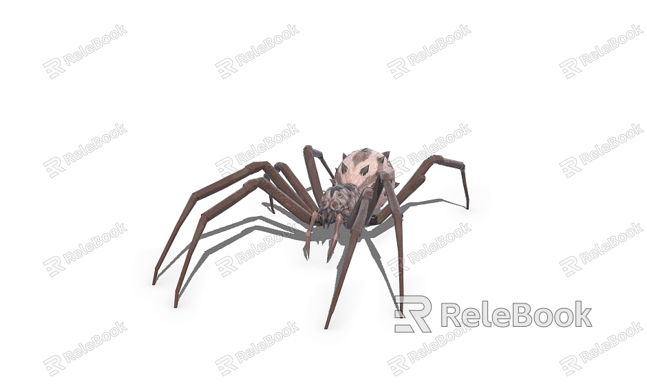 spider insect model