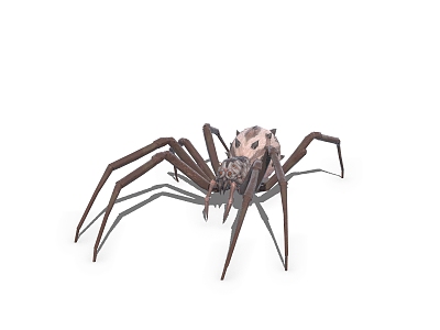 spider insect model