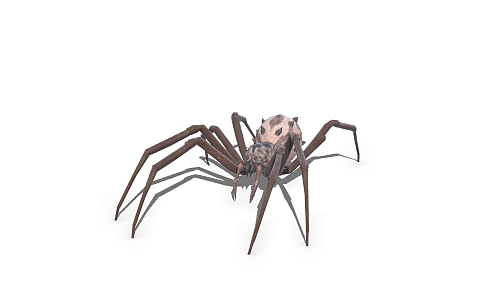 spider insect 3d model