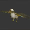 Bird With White Head Brown Beak And Blue Wing Feathers Spread Wings On Dark Background
