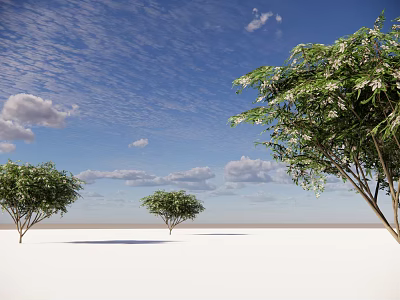 Tall Arbor Trees With Green Leaves Under Blue Sky And White Ground 3d model