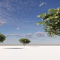 Tall Arbor Trees With Green Leaves Under Blue Sky And White Ground