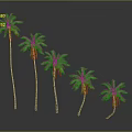Five Palm Trees with Different Heights Standing in a Row Against Gray Backdrop