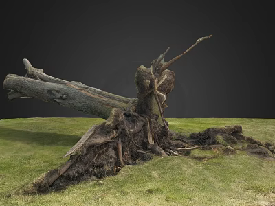 Fallen Arbor Tree With Exposed Roots And Broken Trunk On Green Grassland 3d model