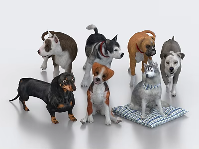 Various Dog Breeds In 3D Rendered Scene 3d model