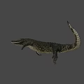Realistic Crocodile 3D Model With Detailed Scales And Open Mouth