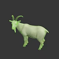 White Goat With Curved Horns Standing On Dark Background With Reflective Surface 3d model