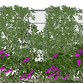 Green Vines Covering Chain Link Fence With Purple Flowers And Lush Foliage
