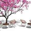 Outdoor Chair And Table Set With Mesh Chairs Round Tables Under Pink Cherry Blossom Tree