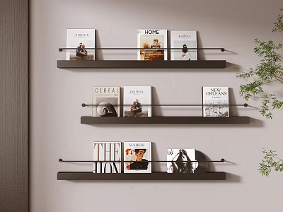 Black Wall Mounted Three Tier Display Shelves Holding Magazines On Light Wall With Green Plant 3d model
