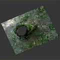 Tall Tree Trunk Covered with Green Vines and Moss at Base with Small Plants