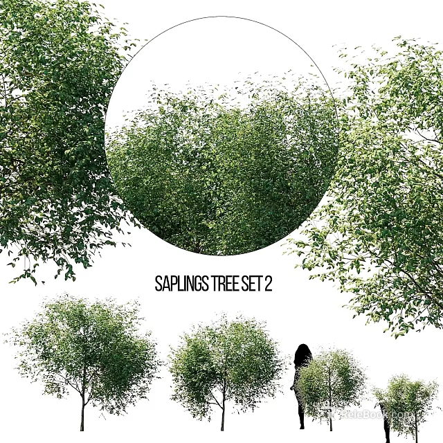 Garden Saplings Tree Set Decorative Landscaping Plants For Outdoor Use 3d model 