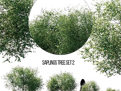 Garden Saplings Tree Set Decorative Landscaping Plants For Outdoor Use 3d model