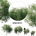 Garden Saplings Tree Set Decorative Landscaping Plants For Outdoor Use