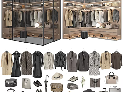 Elegant Modern Closet Interior With Hanging Clothes Shoes Bags And Accessories 3d model