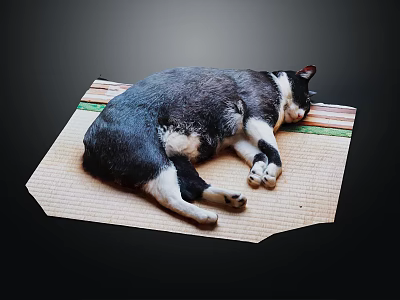 Black and white dog sleeping peacefully on a woven straw mat 3d model