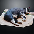 Black and white dog sleeping peacefully on a woven straw mat