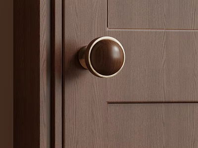 Wooden Door Knob With Brass Rim On Dark Wood Grain Door Panel 3d model