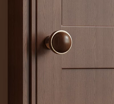 Wooden Door Knob With Brass Rim On Dark Wood Grain Door Panel 3d model