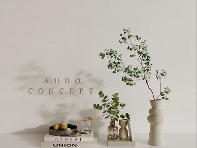 Stylish Decorative Setup With AUDO CONCEPT Sign Green Plants Vases Books And Fruits 3d model