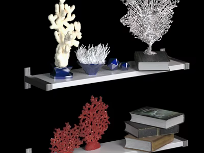 Modern Decorative Ornament Set with Coral Figures and Books on Floating Shelf 3d model