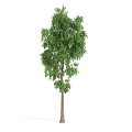 The Modern Tree 3d model