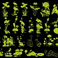 Different Types of Aquatic Plants Illustration Set With Lotus And Lily Pads