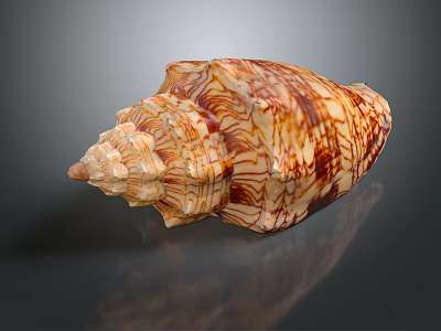 Patterned Brown And White Spiral Shell Decorative Ornament Set With Pointed Tip On Reflective Surface 3d model