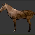 Realistic Brown Horse Statue Standing On Gray Background With Shiny Details