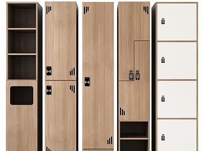 Various Storage Locker Designs With Wooden White Doors Drawers And Open Shelves 3d model