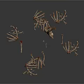 Multiple Small Animal Skeletons Scattered On White Background Show Bone Structures