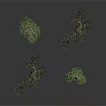 Unique Artistic Plants With Slender Trunks Curved Green Foliage Design