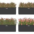 Black Rectangular Flower Planters with Colorful Pink and Orange Blooms for Outdoor Garden Decoration