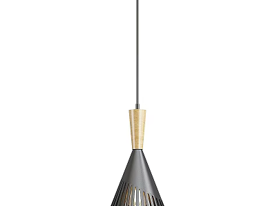 Modern Pendant Light With Wooden Accent And Metallic Openwork Conical Shade 3d model