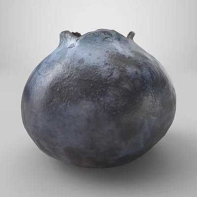 Deep Blue Blueberry 3D Model With Detailed Surface Texture And Realistic Appearance 3d model