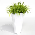Indoor Potted Plants With Various Green Foliage In White Ceramic Pots