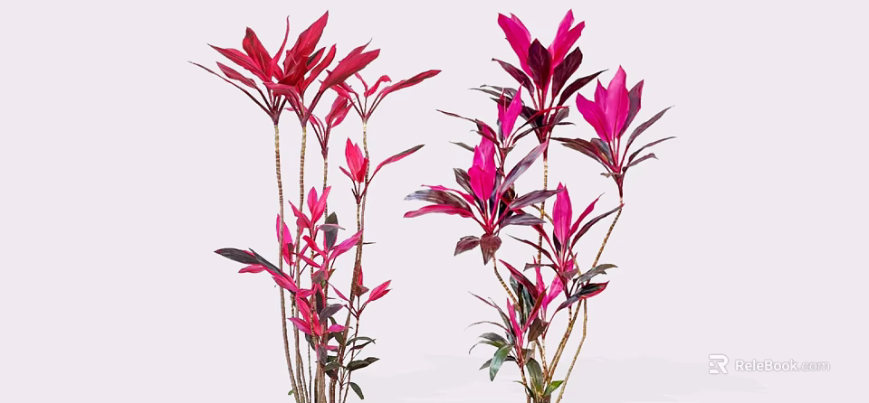 Vibrant Red Pink Shrubs With Tall Stems And Colorful Leaves 3d model 