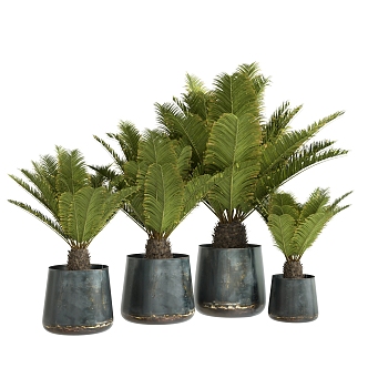 green plants potted plants potted plants 3d model