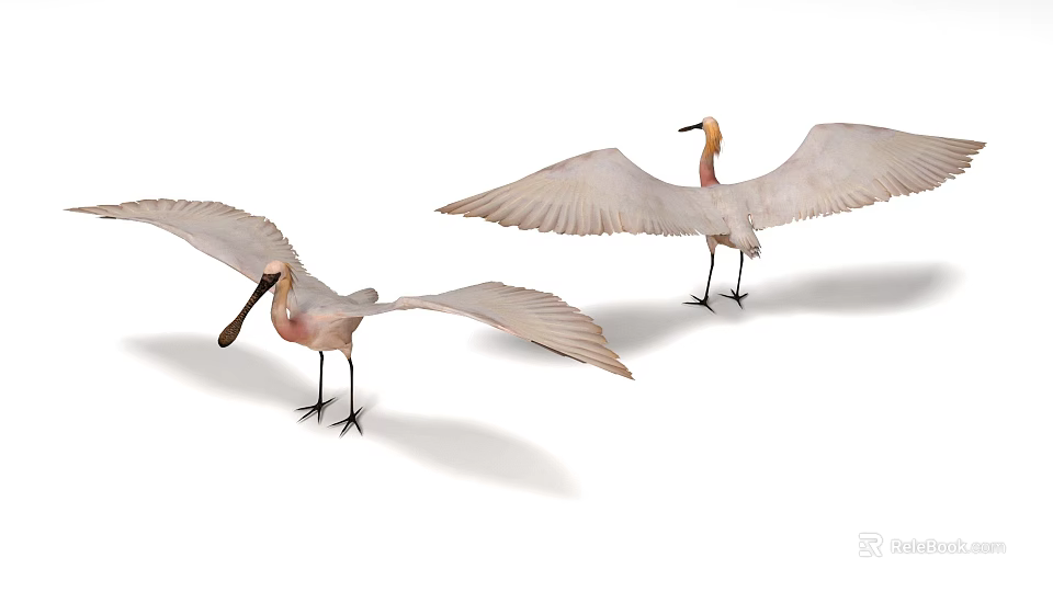 Two Flying Birds With Spread White Wings And Pink Bodies In Mid Flight 3d model 