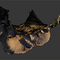 Organic Fresh Vegetable Mushrooms Growing On Natural Tree Trunk Surface