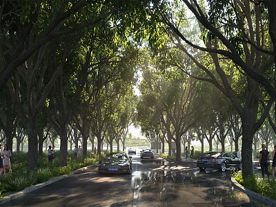 Modern Road Forest Road 3d model